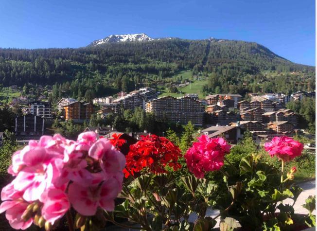 Sunny Swiss Mountain Studio In Centre By Jolidi ナンダ エクステリア 写真